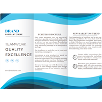 Non Editable  -Business Brochure