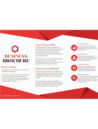 Trifold Red Business Brochure