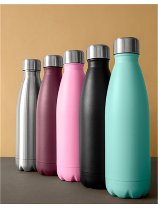 Stainless Steel Water Bottle